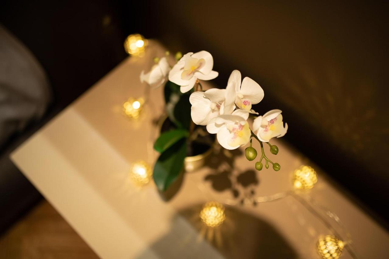 Apartment Ns Life Novi Sad Ngoại thất bức ảnh